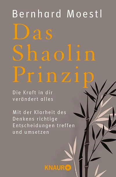 Das Shaolin-Prinzip: Die Kraft in dir verändert alles. Mit der Klarheit des Denkens richtige Entscheidungen treffen und umsetzen