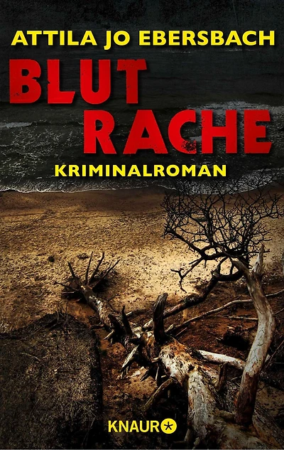 Blutrache. Ein Edersee-Krimi: Kriminalroman