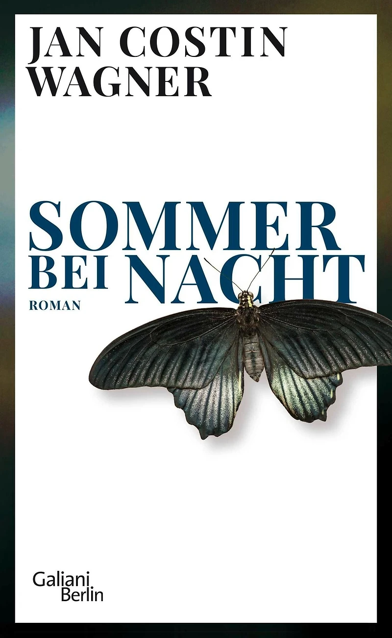 Sommer bei Nacht (Ungekürzte Lesung)