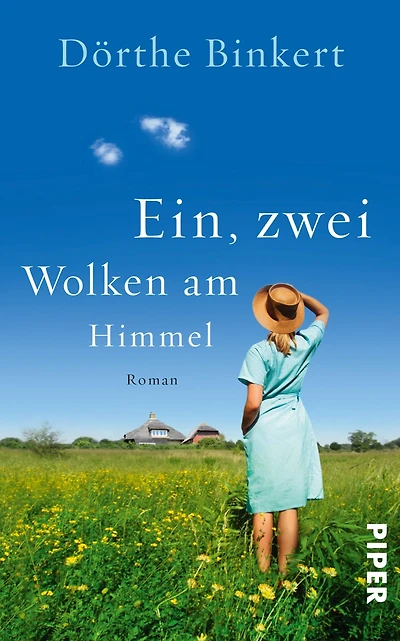 Ein, zwei Wolken am Himmel: Roman
