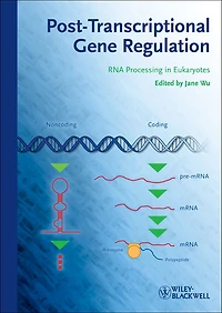 Post-Transcriptional Gene Regulation: RNA Processing in Eukaryotes