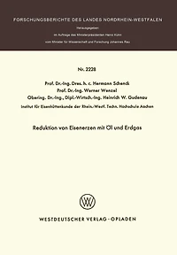 Reduktion von Eisenerzen mit Öl und Erdgas
