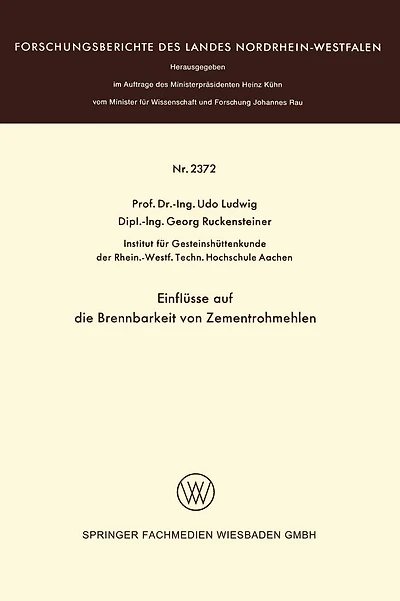 Einflüsse auf die Brennbarkeit von Zementrohmehlen