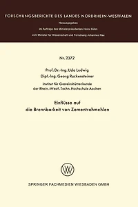 Einflüsse auf die Brennbarkeit von Zementrohmehlen