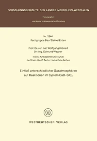Einfluß unterschiedlicher Gasatmosphären auf Reaktionen im System CaO-SiO2