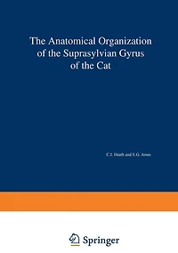 The Anatomical Organization of the Suprasylvian Gyrus of the Cat
