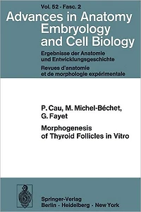 Morphogenesis of Thyroid Follicles in Vitro