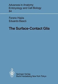 The Surface-Contact Glia