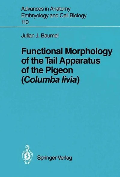 Functional Morphology of the Tail Apparatus of the Pigeon (Columba livia)