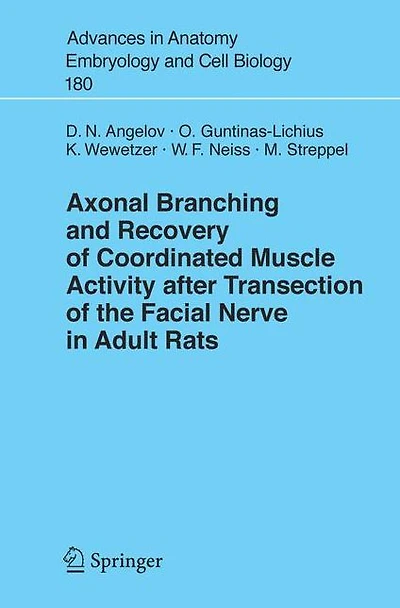 Axonal Branching and Recovery of Coordinated Muscle Activity after Transsection of the Facial Nerve in Adult Rats