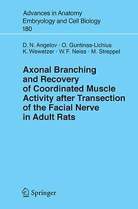 Axonal Branching and Recovery of Coordinated Muscle Activity after Transsection of the Facial Nerve in Adult Rats