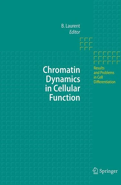 Chromatin Dynamics Cellular Function