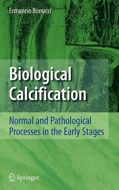 Biological Calcification: Normal and Pathological Processes the Early Stages