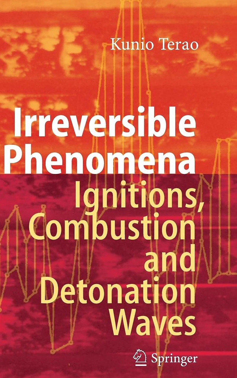 Irreversible Phenomena: Ignitions, Combustion and Detonation Waves