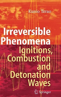 Irreversible Phenomena: Ignitions, Combustion and Detonation Waves