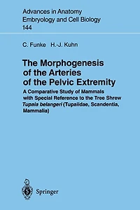The Morphogenesis of the Arteries of the Pelvic Extremity: A Comparative Study of Mammals with special Reference to the Tree Shrew Tupaia belangeri (Tupaiidae, Scandentia, Mammalia)
