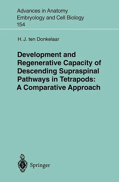 Development and Regenerative Capacity of Descending Supraspinal Pathways in Tetrapods: A Comparative Approach