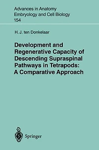 Development and Regenerative Capacity of Descending Supraspinal Pathways in Tetrapods: A Comparative Approach