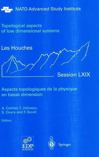 Aspects topologiques de la physique en basse dimension. Topological aspects of low dimensional systems