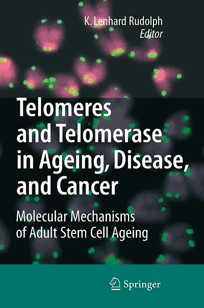 Telomeres and Telomerase in Aging, Disease, and Cancer: Molecular Mechanisms of Adult Stem Cell Ageing