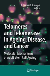 Telomeres and Telomerase in Aging, Disease, and Cancer: Molecular Mechanisms of Adult Stem Cell Ageing