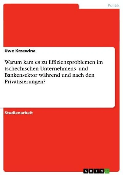 Warum kam es zu Effizienzproblemen im tschechischen Unternehmens- und Bankensektor während und nach den Privatisierungen?
