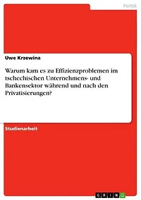 Warum kam es zu Effizienzproblemen im tschechischen Unternehmens- und Bankensektor während und nach den Privatisierungen?