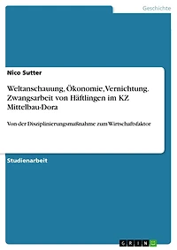 Weltanschauung, Ökonomie, Vernichtung. Zwangsarbeit von Häftlingen im KZ Mittelbau-Dora: Von der Disziplinierungsmaßnahme zum Wirtschaftsfaktor