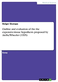 Outline and evaluation of the the expensive-tissue hypothesis proposed by Aiello/Wheeler (1995)
