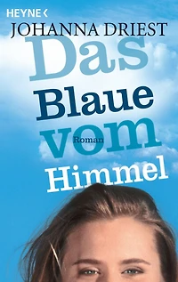 Das Blaue vom Himmel: Roman