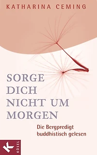 Sorge dich nicht um morgen: Die Bergpredigt buddhistisch gelesen
