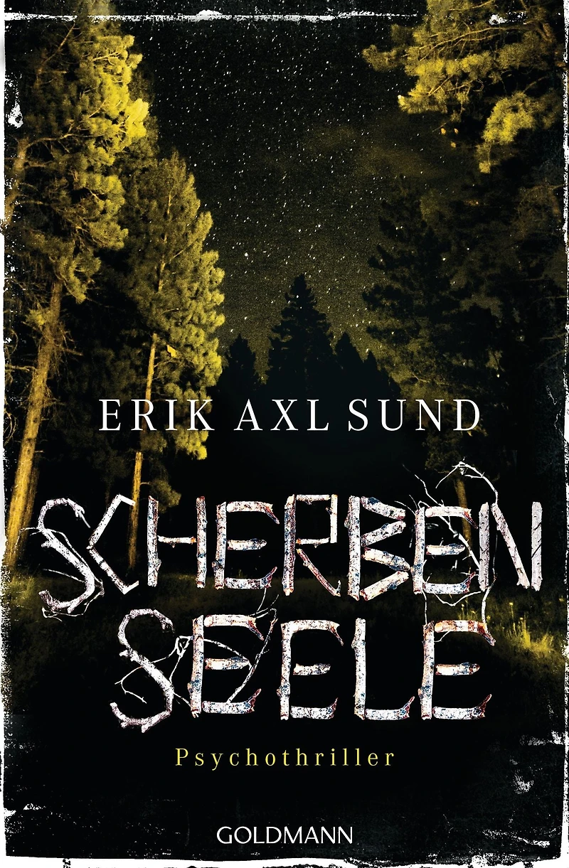 Scherbenseele: Psychothriller