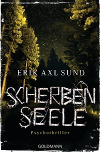 Scherbenseele: Psychothriller