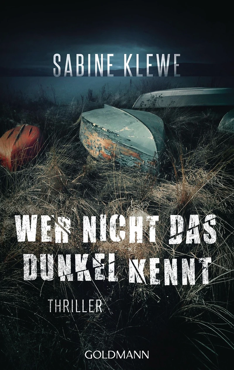 Wer nicht das Dunkel kennt: Thriller