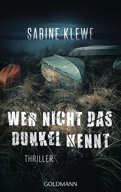Wer nicht das Dunkel kennt: Thriller