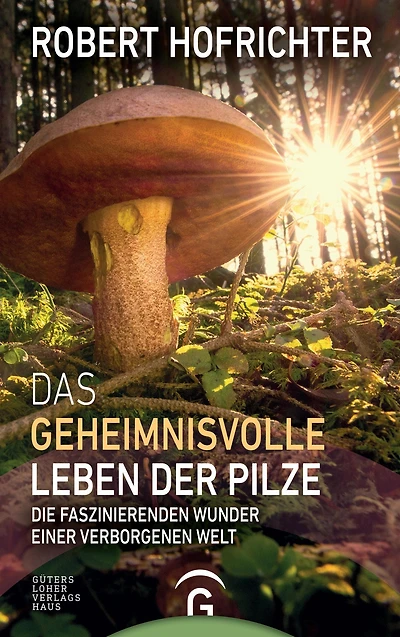 Das geheimnisvolle Leben der Pilze: Die faszinierenden Wunder einer verborgenen Welt