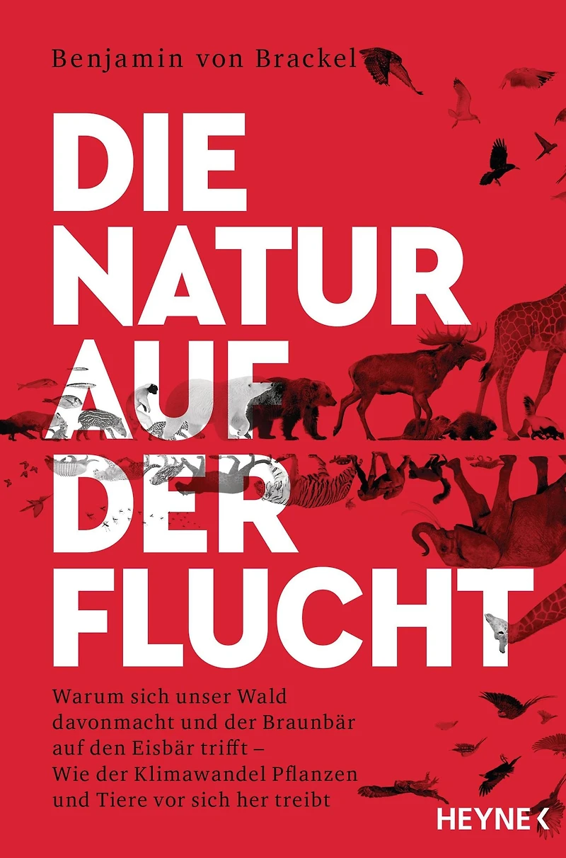Die Natur auf der Flucht: Warum sich unser Wald davonmacht und der Braunbär auf den Eisbär trifft - Wie der Klimawandel Pflanzen und Tiere vor sich hertreibt