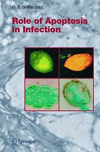 Role of Apoptosis Infection