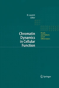 Chromatin Dynamics Cellular Function