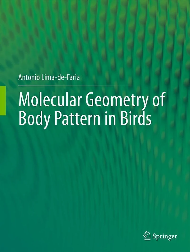 Molecular Geometry of Body Pattern Birds