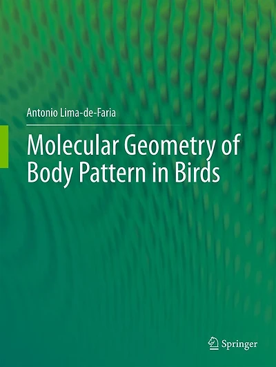 Molecular Geometry of Body Pattern Birds