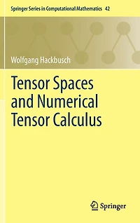Tensor Spaces and Numerical Calculus
