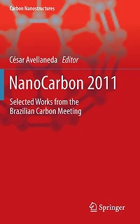 NanoCarbon 2011: Selected works from the Brazilian Carbon Meeting