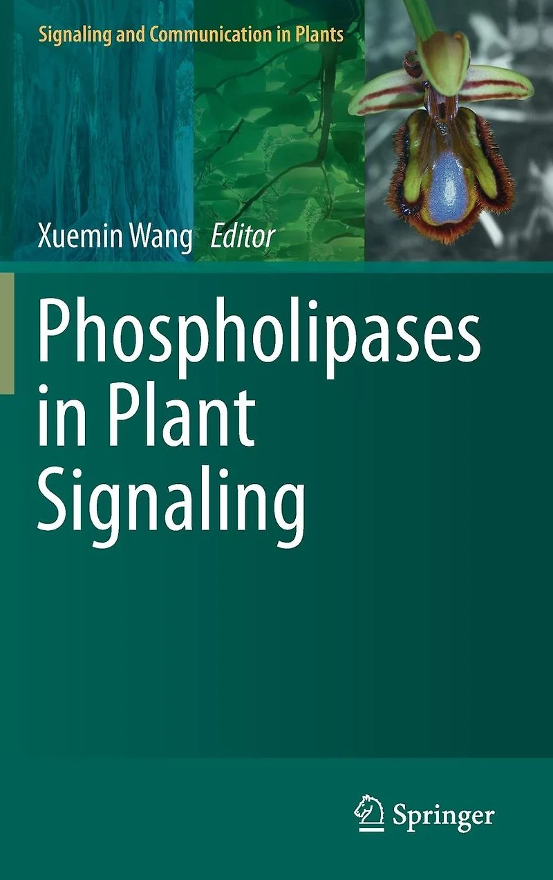Phospholipases Plant Signaling