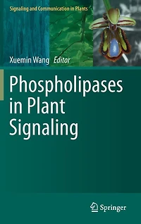 Phospholipases Plant Signaling