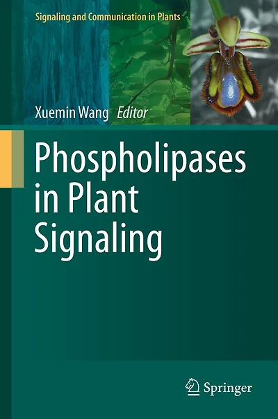 Phospholipases Plant Signaling