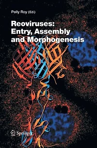 Reoviruses: Entry, Assembly and Morphogenesis