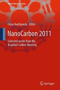 NanoCarbon 2011: Selected works from the Brazilian Carbon Meeting