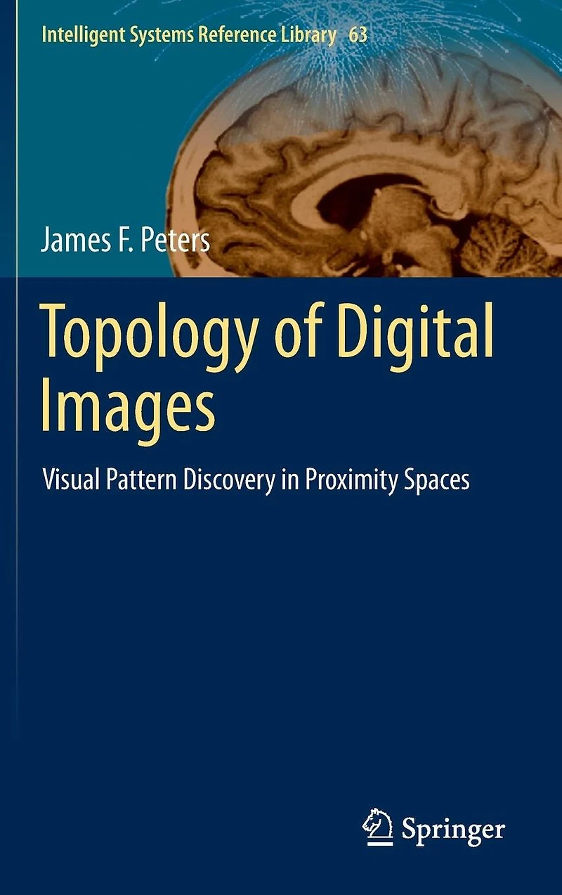 Topology of Digital Images: Visual Pattern Discovery Proximity Spaces