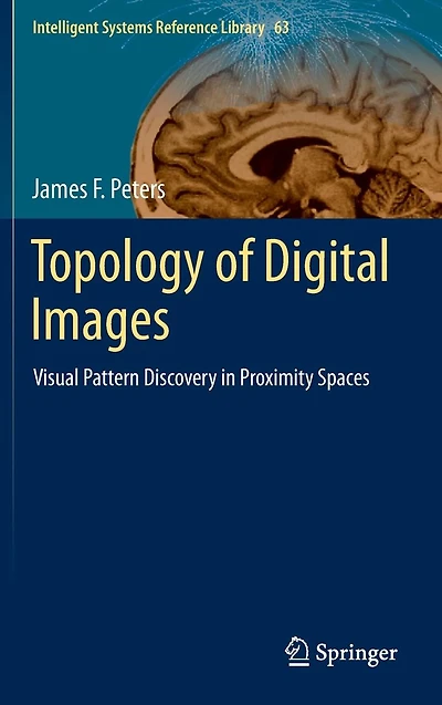 Topology of Digital Images: Visual Pattern Discovery Proximity Spaces